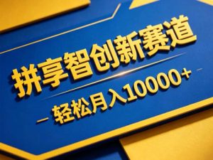 拼享智创新赛道,轻松月入1W+,门槛极低、收益稳定、可长期放大的轻资产项目【揭秘】-优创圈