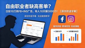 自由职业者缺高客单？日投 10 刀搞 FB+INS 广告，有人 10 天赚 3000 刀！【原创双语字幕】-优创圈