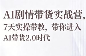 AI剧情带货实战营，7天实操带教，带你进入AI带货2.0时代-优创圈