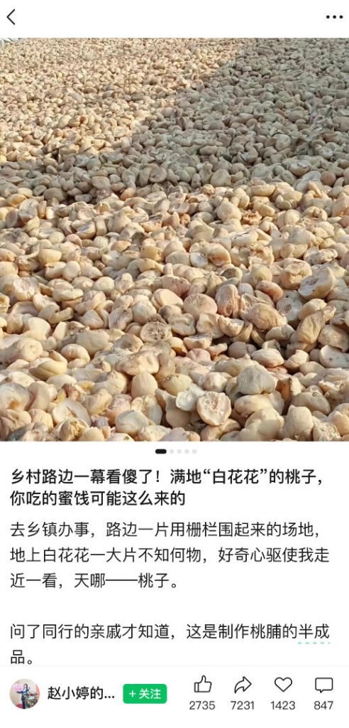 公众号小绿书贴图项目,赚收益实操玩法,听话照听话照少走90%弯路丨副业可做-优创圈