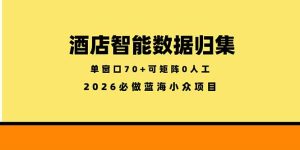 酒店智能数据归集,小众蓝海已经稳定半年之久,单窗口70+零成本矩阵开干-优创圈