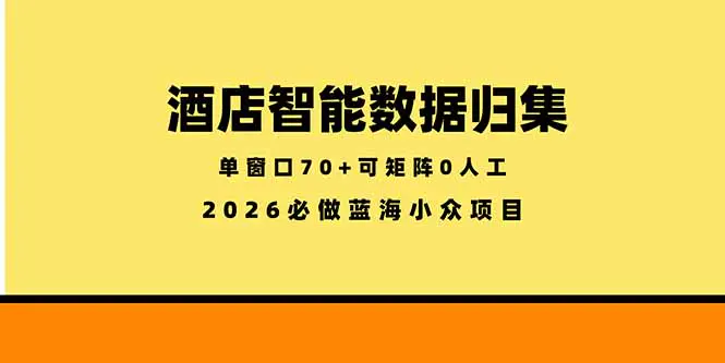 酒店智能数据归集,小众蓝海已经稳定半年之久,单窗口70+零成本矩阵开干