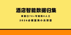 酒店智能数据归集,小众蓝海已经稳定半年之久,单窗口70+零成本矩阵开干【揭秘】-优创圈