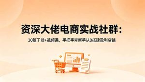 资深大佬电商实战社群：30篇干货+视频课，手把手带新手从0搭建盈利店铺-优创圈
