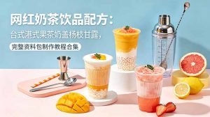 网红奶茶饮品配方:台式港式果茶奶盖杨枝甘露,完整资料包制作教程合集-优创圈