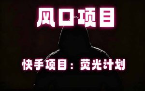 快手风口项目,荧光计划托管,长期稳定,适合批量做-优创圈