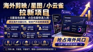 海外剪映 / 星图 / 小云雀拉新项目 普通人也能上手的跨境流量变现副业-优创圈