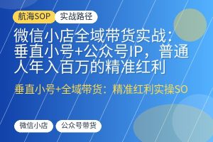 微信小店全域带货实战:垂直小号+公众号IP,普通人年入百万的精准红利-优创圈