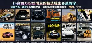 抖音百万粉丝博主的精选独家赛道教学,涵盖汽车+体育+影视解说等,零基础也能快速起号、涨粉、变现-优创圈