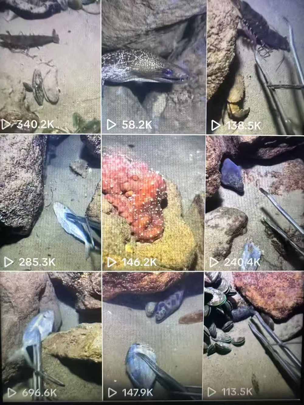 Tiktok中视频解说教程,体育+温情文案双赛道实操教程一站式带你落地