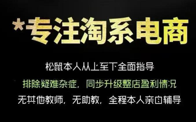 松鼠会电商VIP课程,从基础布局到高阶优化,助你掌握淘宝运营逻辑,提升店铺流量与转化-优创圈