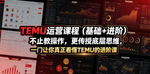 TEMU运营课程（基础+进阶），不止教操作，更传授底层思维，一门让你真正看懂TEMU的进阶课-优创圈