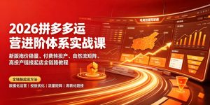 2026拼多多运营进阶体系实战课|新版拖价稳量、付费转投产、自然流矩阵、高投产链接起店全链路教程-优创圈