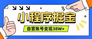 微信小程序掘金,团队自营小程序累计变现38W+,稳定运营三年,一部手机即可操作-优创圈