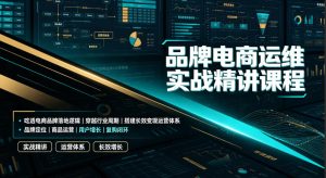 品牌电商运维实战精讲课程|吃透电商品牌落地逻辑、穿越行业周期、搭建长效变现运营体系-优创圈
