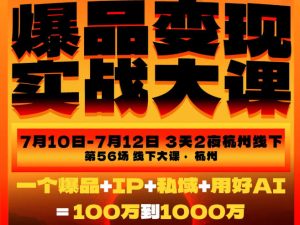 爆品变现实战大课,从爆品,到流量,到成交,一个爆品+IP+私域+用好AI=100W到1000W(7月10-12日)-优创圈