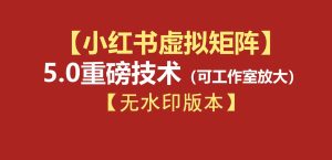 76节小红书虚拟矩阵5.0-无水印版本:AI原创虚拟品+4带1自动化AI发笔记+测款怼款双模式(可工作室放大)-优创圈