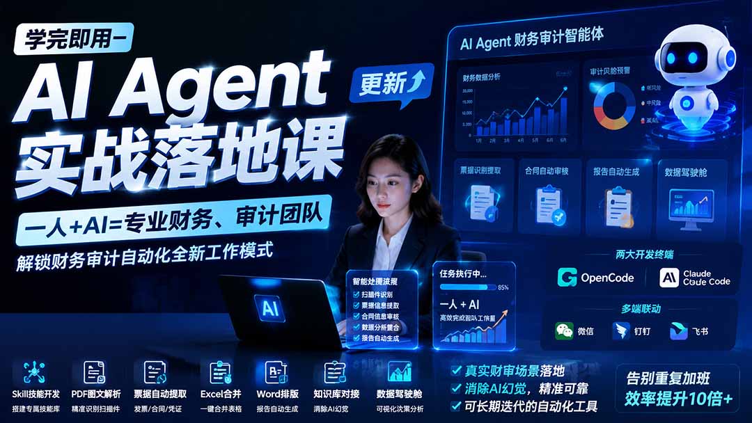 学完即用—AI Agent实战落地课-更新:一人+AI=专业财务、审计团队,解锁财务审计自动化全新工作模式