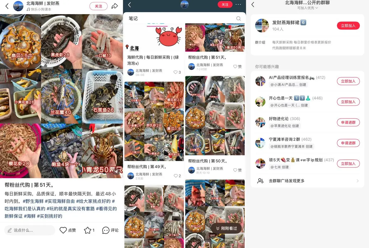 北海海鲜发财燕：日更代购 51 天建群 104 人，每日海鲜代买加代跑腿费变现