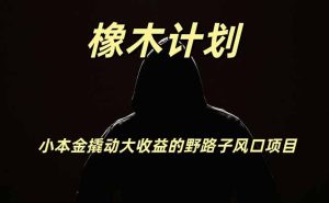 橡木计划,小投入撬动高回报的风口野路子项目,一天投入2小时左右-优创圈