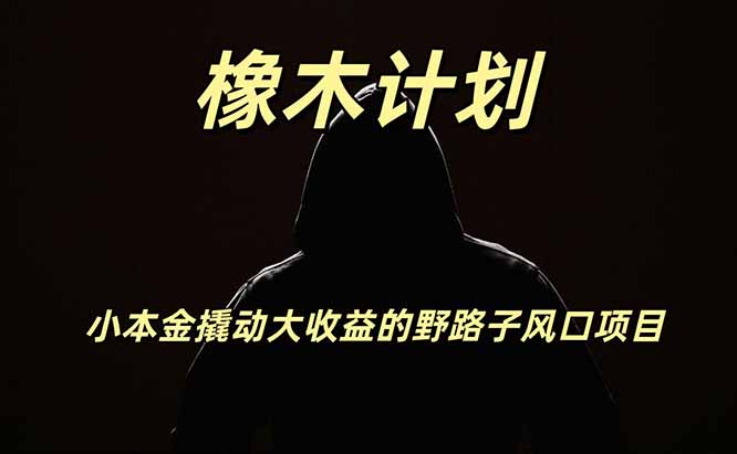 橡木计划,小投入撬动高回报的风口野路子项目,一天投入2小时左右