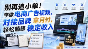 别再追小单!学做电商广告视频,对接品牌拿月付,轻松躺賺稳定收入【原创双语字幕】-优创圈