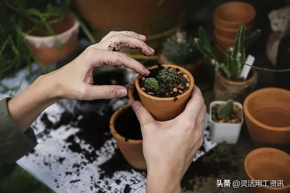 在家干的副业_在家待业做什么副业好赚钱_在家赚钱副业待业好做吗