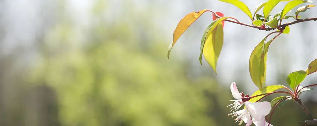 负债搞什么副业_负债的人选择什么副业赚钱_负债的人什么副业最挣钱