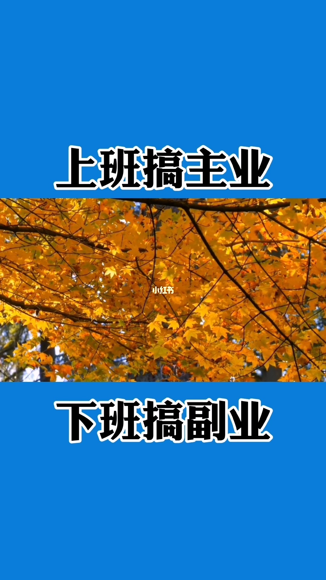 下班晚上干什么副业赚钱呢_下班赚钱的副业_下班赚钱副业晚上干什么