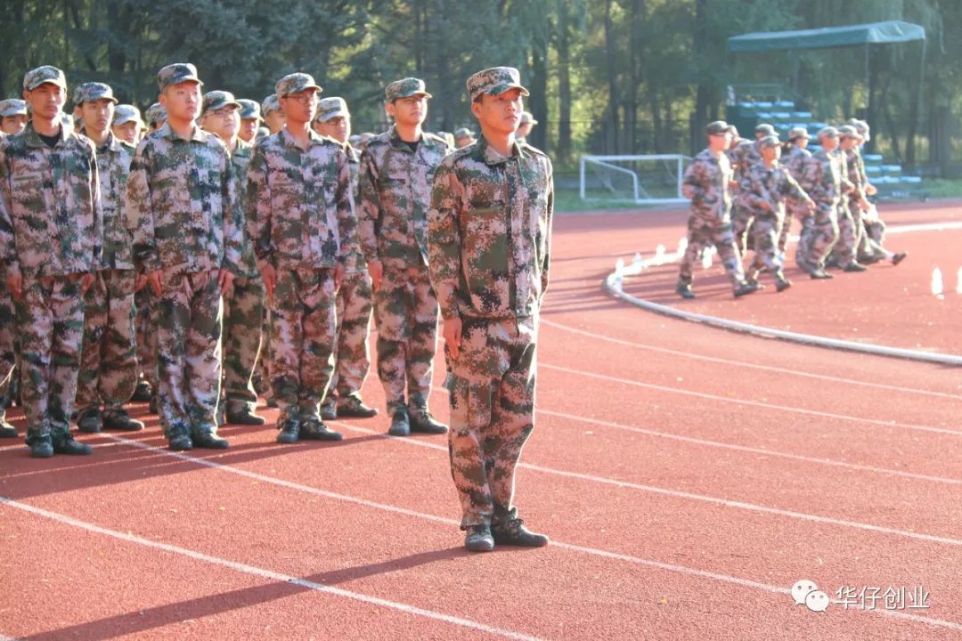 高考状元做什么副业好赚钱_高考状元报什么专业_高考状元有啥好处