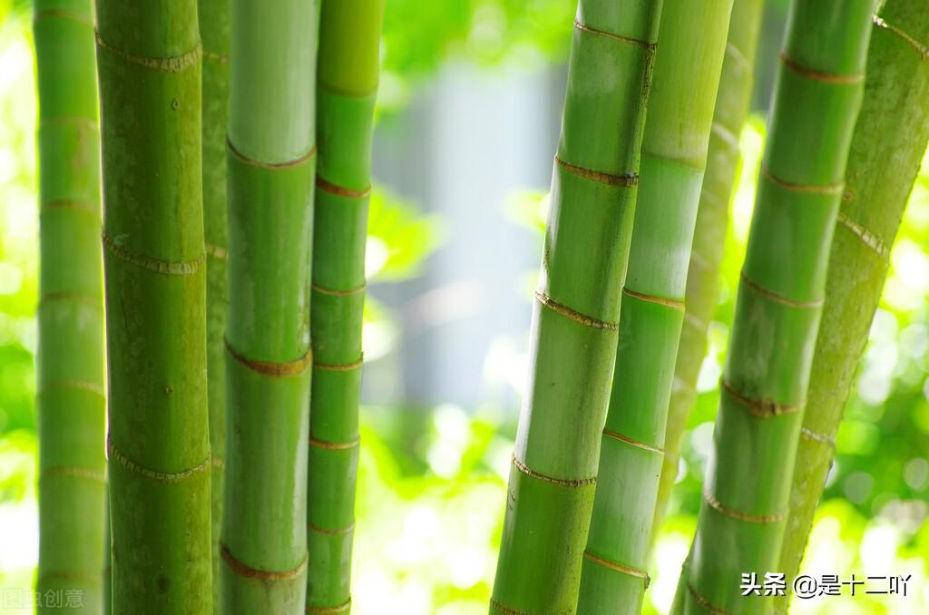 头条今日赚钱副业做什么好_今日头条赚钱项目_怎么在今日头条做副业赚钱