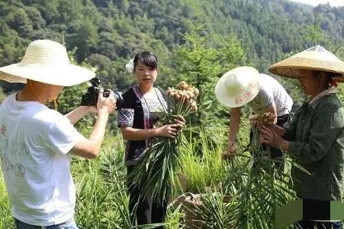 在农村干什么副业赚钱好_农村做啥副业_农村干点什么副业