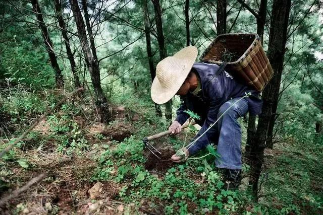 农村干点什么副业_在农村干什么副业赚钱好_农村做啥副业