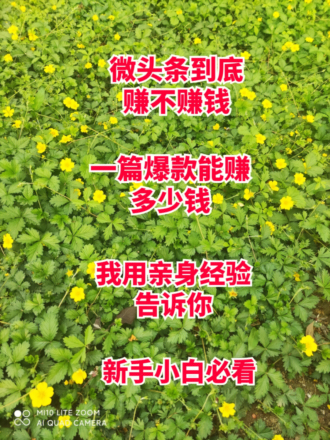 研究生能开拓什么副业赚钱_适合研究生干的副业_研究生搞副业