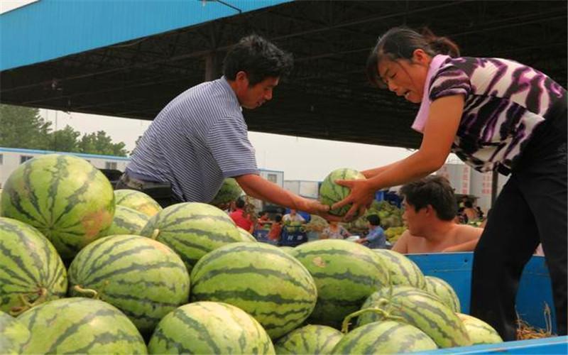 妇女在农村做什么赚钱_适合农村妇女做的副业赚钱_农村妇女干什么能发家致富