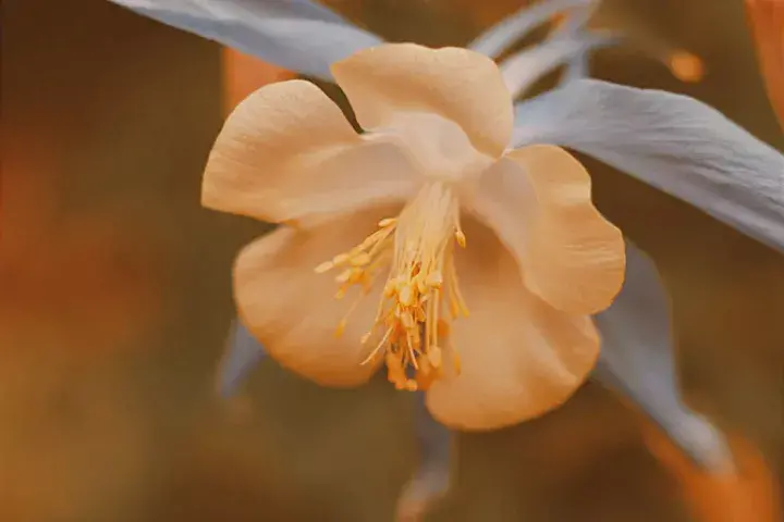 教师赚钱的副业_做老师有什么副业可以做_一线老师能做什么副业赚钱