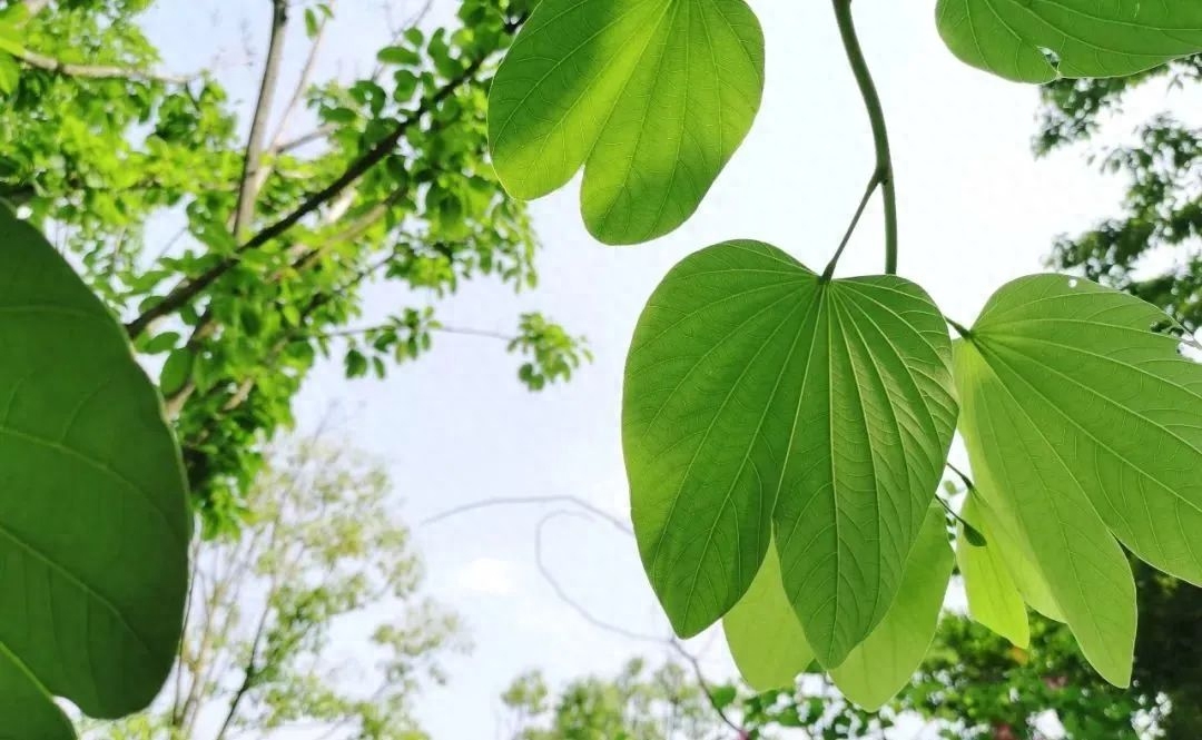 男朋友干什么副业赚钱_上班族副业做什么赚钱_日语赚钱副业