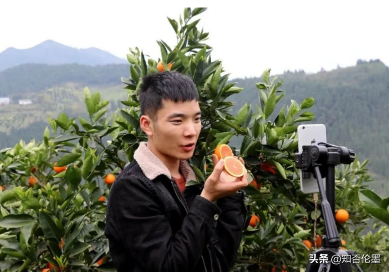 种植副业赚钱_种植赚钱副业赚钱吗_种植赚钱副业是真的吗