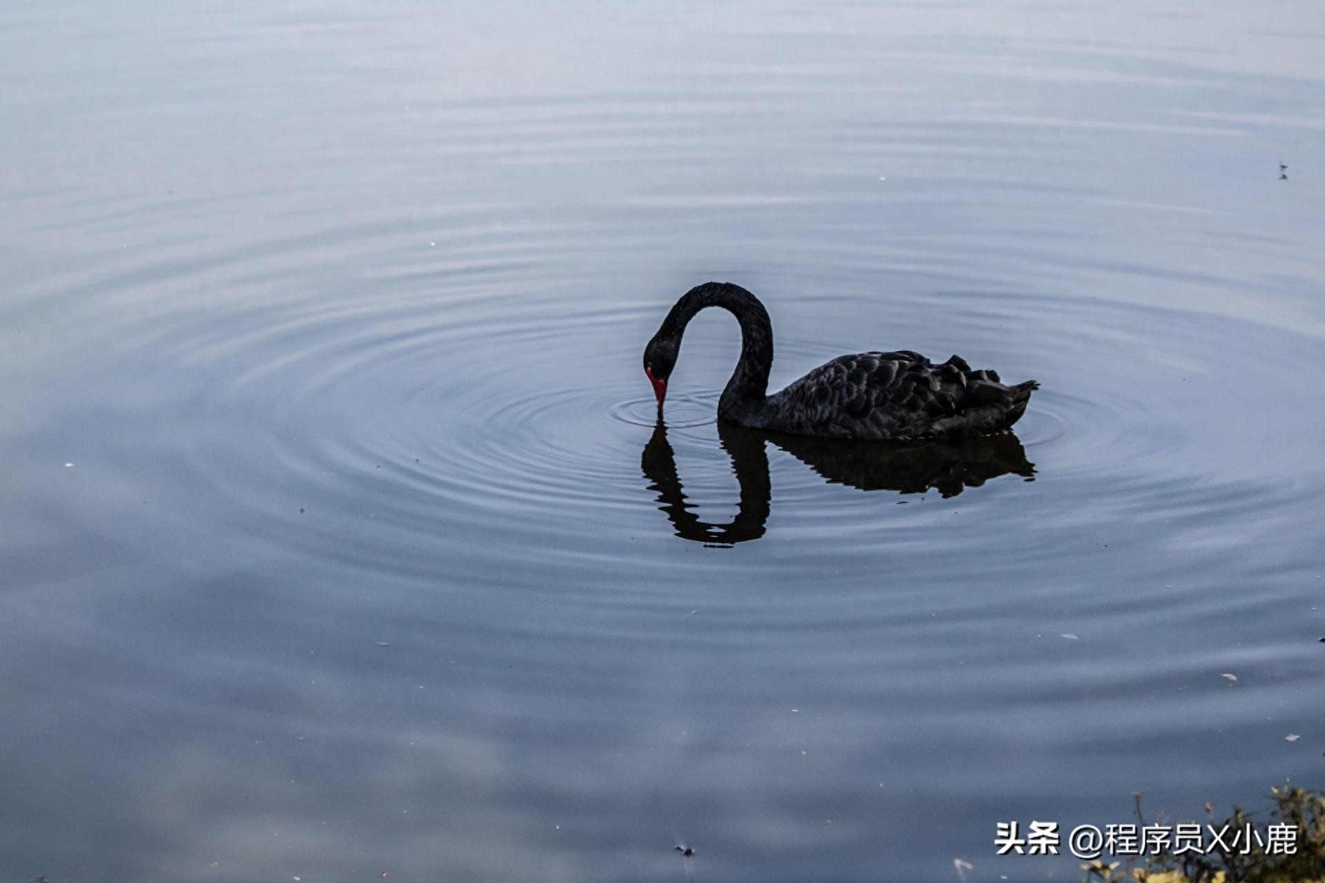 周末赚钱副业_周末赚钱项目_周末什么副业好