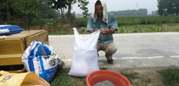 种植赚钱副业_种植业什么赚钱_种植赚钱副业赚钱吗