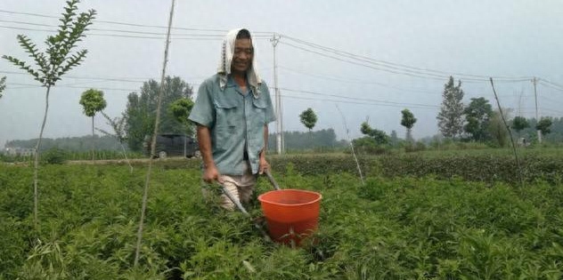 种植赚钱副业赚钱吗_种植业什么赚钱_种植赚钱副业