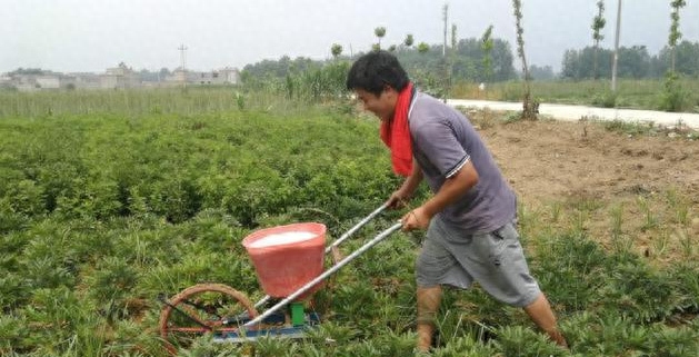 种植赚钱副业赚钱吗_种植业什么赚钱_种植赚钱副业