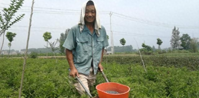 种植业什么赚钱_种植赚钱副业_种植赚钱副业赚钱吗