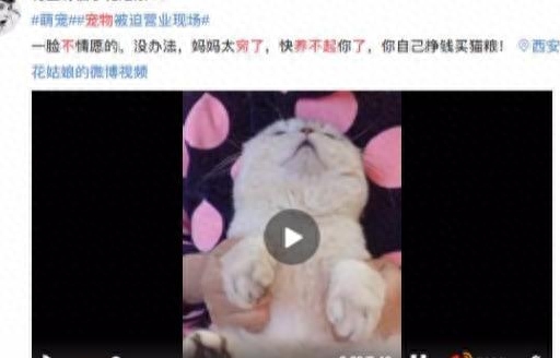 嘀嘀打车主页不赚钱副业赚钱_怀孕赚钱小副业_女孩子可以做哪些副业赚钱