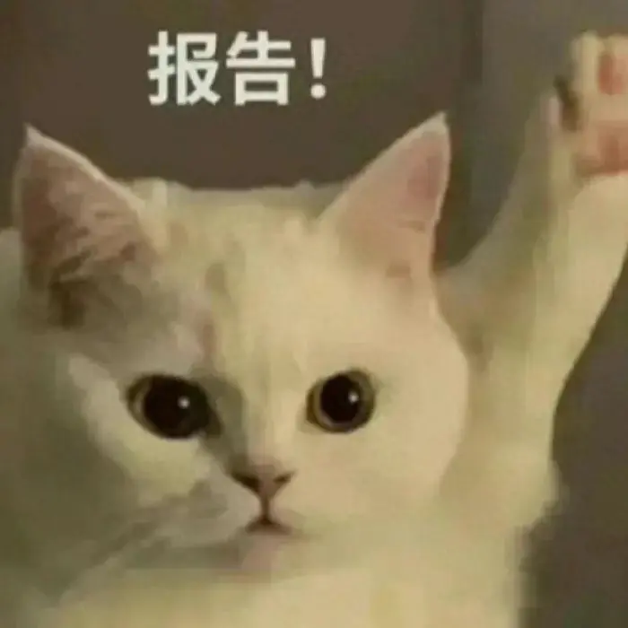 主妇赚钱有什么路子_主妇副业怎么赚钱_主妇可以做的兼职