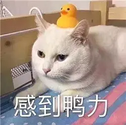 副业赚钱的标签_贴标签赚钱_标签赚钱副业怎么做