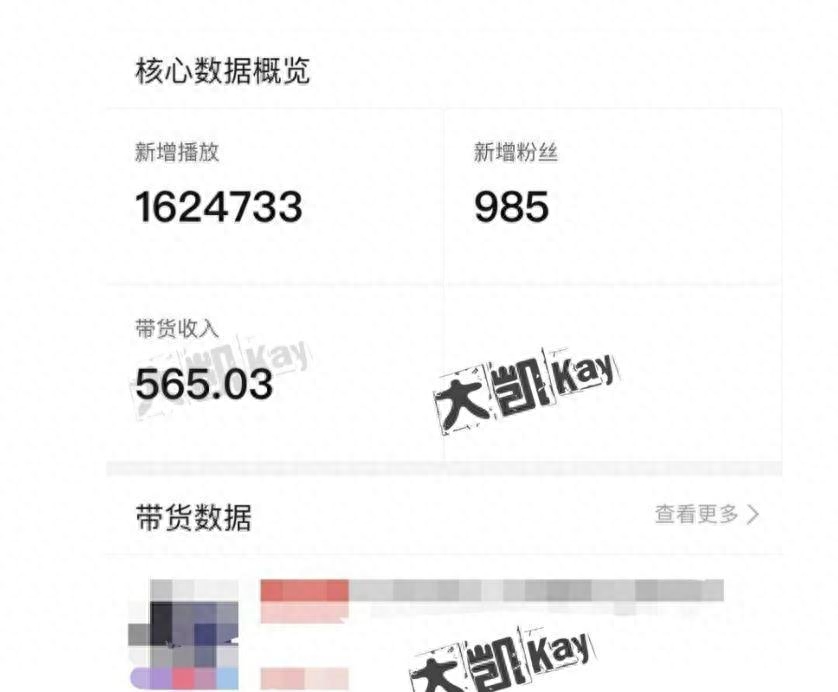 视频副业怎么赚钱_视频赚钱副业怎么做_视频赚钱项目