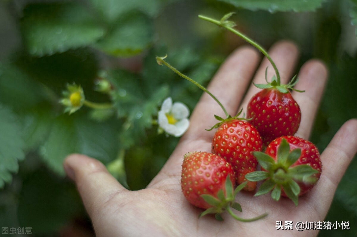 小白写作赚钱副业是什么_写作小白副业赚钱_小白写稿赚钱app