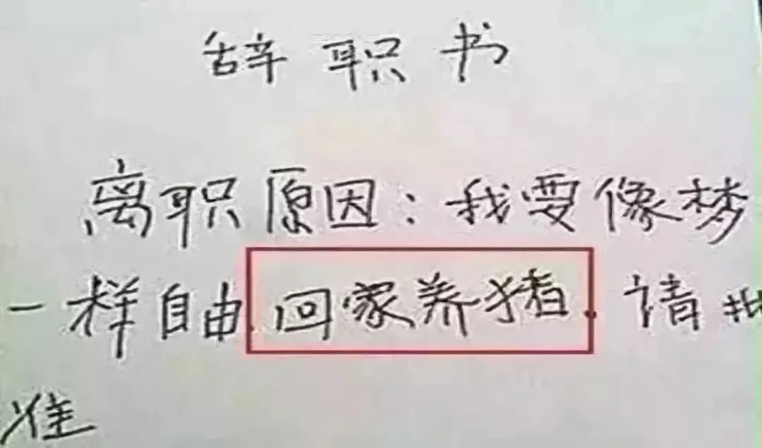 挣钱带娃的图片_赚钱带娃两不误的工作_带娃如何挣钱