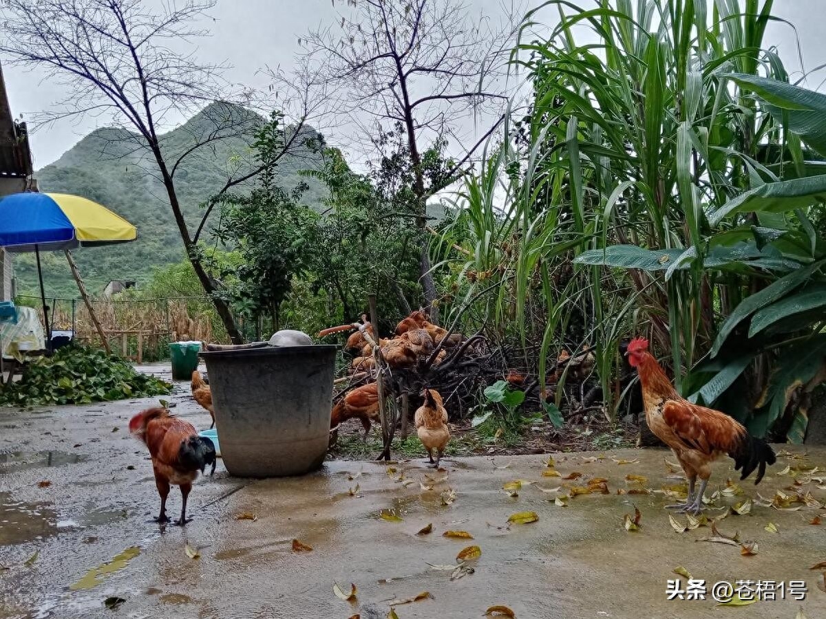 农民赚钱门路_农民如何挣钱_赚农民的钱有什么项目